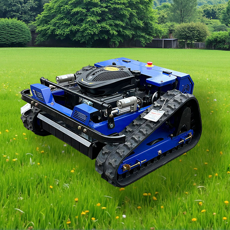 Smart Home Robot - Customized New Top quality Smart Robotic