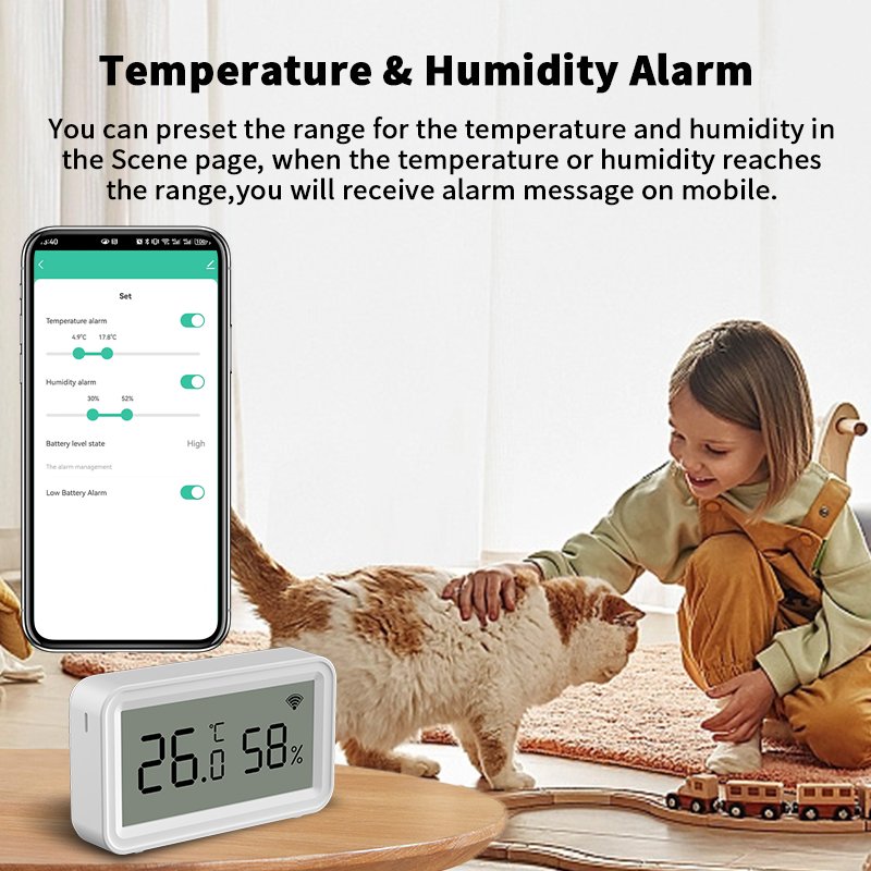 Tuya Zigbee WiFi Thermometer H - Smart Home Alexa incelemesi ve fiyatı