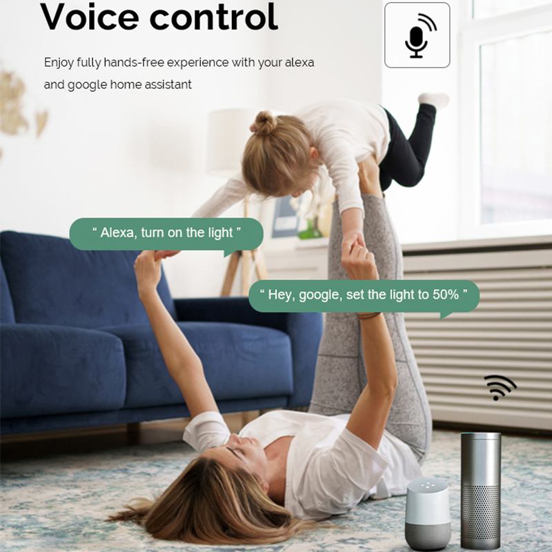 DIY  Wifi Smart Dimmer Switch  - Smart Home For Living incelemesi ve fiyatı