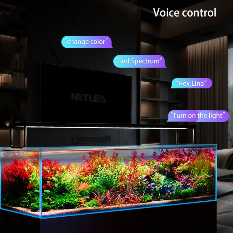 Netlea AT5S V3 Smart Wifi APP  - Wifi Led Dimmer incelemesi ve fiyatı