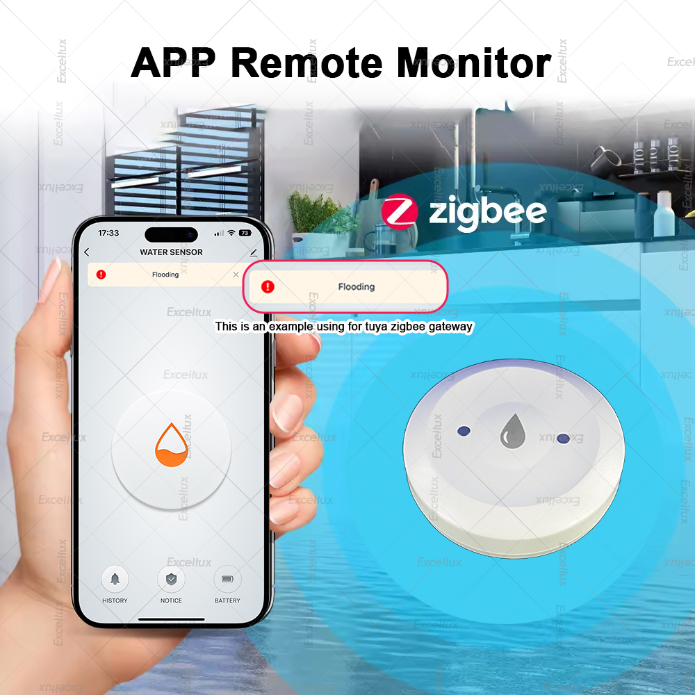 Zigbee Water Detector Leakage  - Smart Home News incelemesi ve fiyatı