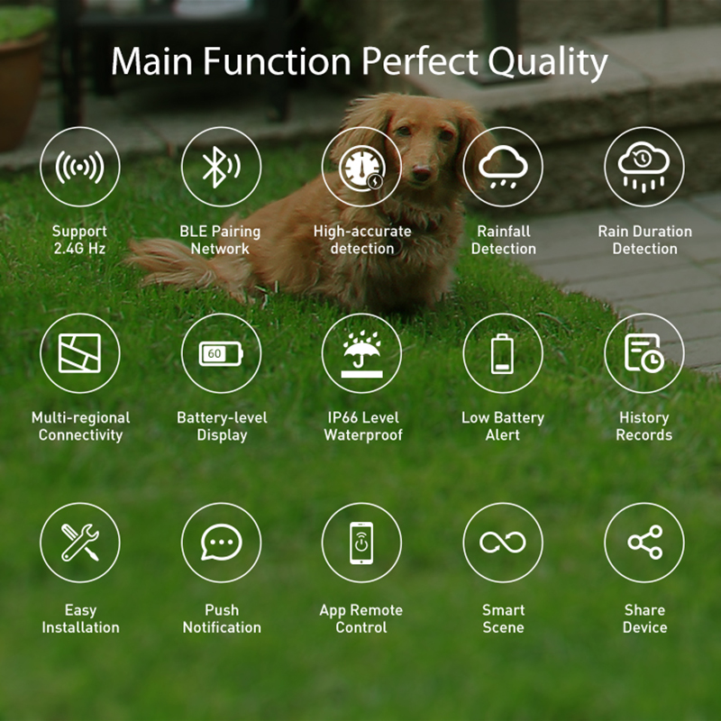 WiFi Rain Sensor Rainfall Dura - Smart Home News incelemesi ve fiyatı