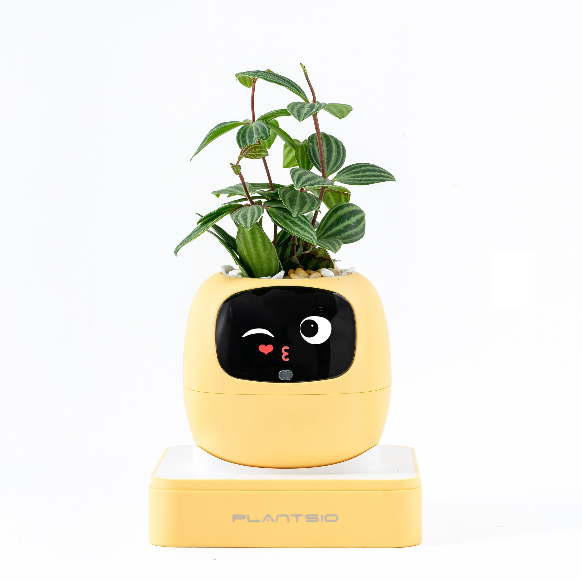 2026 NEW Second Generation Sma - Smart Home Robot incelemesi ve fiyatı
